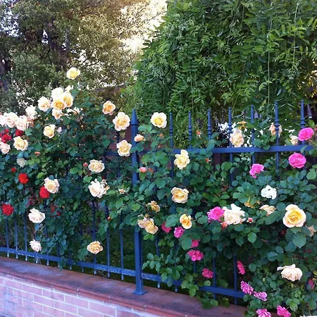 Bb Penny Frühstückspension Forlì