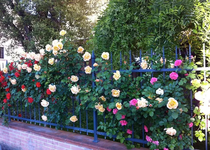 Bb Penny Bed & Breakfast Forlì